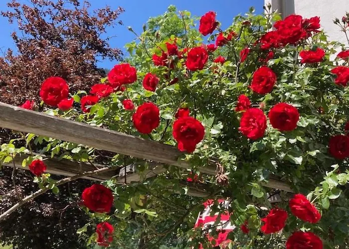 Im Haus Seebrauer In Feld Am By Interhome Appartement *